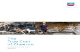 True Cost of Chevron - crudeaccountability.orgcrudeaccountability.org/wp-content/uploads/2012/04/2009-05-TrueC… · 2 Chevron Alternative 2008 Annual Report Chevron 2nd largest u.s.
