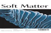 Soft Matterlipid.uchicago.edu/~lukap/TopoSystems/Brainstage/Geometric Tool… · Soft Matter 1744-683X(2009)5:10;1-6 Volume5 | Number10 | 21May2009 | Pages1949–2144 . Geometric