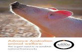 Advance Australian animal welfare - Productivity Commission · animal welfare organisations, and has been helping to protect animals for over 50 years. Our vision is for a world where