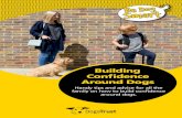 Building Confidence Around Dogs Building Confidence Around Dogs Handy tips and advice for all the family