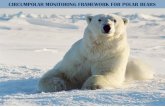 CIRCUMPOLAR MONITORING FRAMEWORK FOR POLAR BEARSpbsg.npolar.no/export/sites/pbsg/en/docs/ppt-PB-MonPlan-Moscow.… · Polar bear ecoregions •19 subpopulations in 4 ecological regions