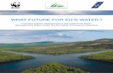 What future for eu’s Water · 2020. 5. 29. · 1 introdUCtion The EU Water Framework Directive (WFD) provides a once-in-a-generation opportunity to protect and restore Europe’s