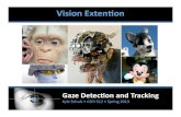 Vision Extenon - cs-courses.mines.educs-courses.mines.edu/csci507/projects/2013/Schulz.pdf · Kyle Schulz • CSCI 512 • Spring 2013 Goals 1. Enhance user’s experience • Extend