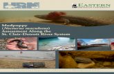 Mudpuppy Necturus maculosus Assessment Along the St. Clair ... · PDF file Thomas, M. 2018. Mudpuppy Assessment Along the St. Clair-Detroit River System. Herpetological Resource and