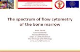 The spectrum of flow cytometry of the bone marrow€¦ · The spectrum of flow cytometry of the bone marrow Anna Porwit Lund University . Faculty of Medicine . Dept. of Clinical Sciences