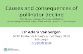 Causes and consequences of pollinator declineec.europa.eu/environment/nature/conservation... · •Crop pollination services Wild insect visitation enhances crop production & stability