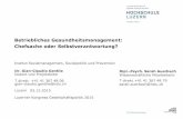 Betriebliches Gesundheitsmanagement: Chefsache ... Luzern Institut Sozialmanagement, Sozialpolitik und