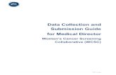 Data Collection and Submission Guide for Medical …ncphn.org.au/wcsc/wp-content/uploads/2017/08/WCSC...2017/08/11  · Extracting breast screening data using Cat4 If you have installed