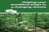 Helping your woodland adapt to climate change · 2013. 3. 11. · activities. Events like storms, droughts, insect and disease outbreaks, or other stressors can damage trees or slow