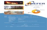 Prevention and REcovery of Forest ... - European Commission · EC European Commission EFFIS European Forest Fire Information System EFI European Forest Institute EO Earth Observation