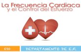 La Frecuencia Cardica y el control del esfuerzo … · Cómo se toma la Frecuencia Cardiaca Para medir el pulso en la muñeca (arteria radial) se colocan los dedos índice y medio
