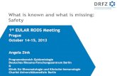 What is known and what is missing: Safety Zink.pdf · What is known and what is missing: Safety 1st EULAR RODS Meeting Prague October 14-15, 2013 Angela Zink Programmbereich Epidemiologie