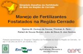Manejo de Fertilizantes Fosfatados na Região Cerradogape-esalq.com.br/wp-content/uploads/2019/03/Manejo... · Ministério da Agricultura, Pecuária e Abastecimento ... Consumo no