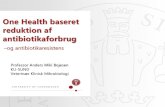 One Health baseret reduktion af antibiotikaforbrugbedrehygiejne.dk/RBHfiler/Arr/Strategiseminar2017/AMB - 060417.pdf · Anders Løbner-Olesen, Department of Biology Faculty of Social