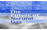 web.mit.eduweb.mit.edu/~jparsons/www/publications/NaturalGas_Report_Final.pdf · MIT Study on the Future of Natural Gas iii Foreword and Acknowledgements The Future of Natural Gas