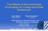 The Effects of Environmental Uncertainty on Young and Small … · 2019. 11. 28. · Regional: business cycle impacts different locations differently • Firm-specific uncertainty.