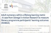Adult numeracy within a lifelong learning metric : A case ...€¦ · continuum from level 1 to level 3 Instrumental skills : adequate proficiency in basic aspect of literacy and