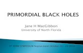 Jane H MacGibbon - Fermi Gamma-ray Space Telescope · =0.007 1/2 1/2 0.147, uncharged 0.142, electric charge = s s f ... Jane H MacGibbon “Primordial Black Holes” 5th Fermi Symposium