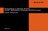 Label Printing from SAP (ERP) System using SAPscript ...€¦ · Label Printing from SAP (ERP) System using SAPscript Technology Doc No.: GBS_SD_201512-001 Rev. 1 GBS Systems Development