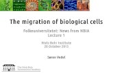 Folkeuniversitetet: News from NBIA Lecture 1mpessah/news-nbia-2013/news-nbia-2013-1.pdf · The migration of biological cells Folkeuniversitetet: News from NBIA Lecture 1 Niels Bohr