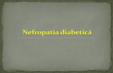 Nefropatia diabetică (ND) - USMF · Nefropatia diabetică este una din complicațiile cronice microangiopatice(alături de retinopatia diabetică) ale diabetului zaharat,fie diabet