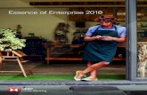 Essence of Enterprise 2018 · Not every entrepreneur has access to an experienced entrepreneur-investor, but many recognise how instrumental help from others is. The majority of entrepreneurs