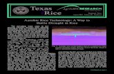Texas Rice - Texas A&M University · 3 Farming Rice A monthly guide for Texas growers Providing useful and timely information to Texas rice growers, so they may increase productivity