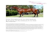 Dream Thoroughbreds So You Think Syndicate Mr So and So ...Dream_Thorou… · Dream Thoroughbreds So You Think Syndicate 2yo Bay Gelding By So You Think out of Danesty Page 2 of 13