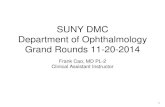 SUNY DMC Department of Ophthalmology Grand Rounds 11-20 … · SUNY DMC Department of Ophthalmology Grand Rounds 11-20-2014 ... • Lentivirus vector used instead of adeno associated