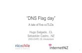 Sebastián Castro, .NZ DNS-OARC 29, Amsterdam Hugo Salgado ...€¦ · 1. What is EDNS? RFC 6891 Defines a backward compatible mechanism to signal support for new DNS options Original