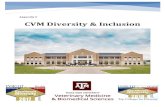 Appendix II CVM Diversity & Inclusionvetmed.tamu.edu/diversity/.../2019/06/CVM-Diversity... · CVM Diversity, Climate, and Inclusion Strategic Plan Overview: 2018-2022 The College