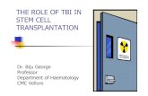 THE ROLE OF TBI IN STEM CELL TRANSPLANTATIONaroi.org/aroi-cms/uploads/media/1583583451Dr.-Biju-George.pdf2.0-3.5 Moderate Moderate-severe BM damage Probable survival 3.5-5.5 Severe