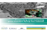 Protecting and restoring the grey-headed flying-fox · PDF file Protecting and restoring grey-headed flying-fox habitat. Contents Introduction 1 About grey-headed flying-foxes 1 Why