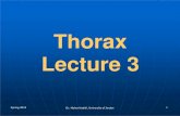 Thorax Lecture 3 - JU Medicine€¦ · Thorax Lecture 3 Spring 2019 ... Slides of Anatomy Please Note: These slides were edited by the Premed Academic Team to fit the slides of Spring