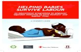 HELPING BABIES SURVIVE LABOUR · 2016. 2. 9. · Illustration: Luan Serfontein. 4 LABOUR AND BIRTH, SAVING MORE LIVES ... In either case the baby may fail to adapt and a non-reassuring