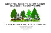 WHAT YOU NEED TO KNOW ABOUT RACCOON ROUNDWORMS · PDF file Disposable rubber or latex gloves Disposable or washable coveralls Rubber boots NIOSH-Approved Disposable Particulate Respirator