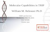 Molecular Capabilities in TRIP William M. Rehrauer Ph...Translational Research Initiatives in Pathology (TRIP) Molecular Capabilities ... PENTA D. TH01. TPOX. D13S317. D7S820. D18S51.