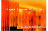 SUPER LINEAR ALGEBRAfs.unm.edu/SuperLinearAlgebra.pdf · Linear transformation of super vector is described in the third section. Final section deals with linear algebras. 1.1 Supermatrices