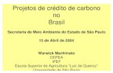 Projetos de crédito de carbono no Brasilarquivo.ambiente.sp.gov.br/cea/2011/12/Warwick_1.pdfCICLO DO PROJETO CARBONO (WB) Projeto Carbono Permite avaliar o empreendimento com os critérios