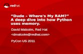 “Dude – Where's My RAM?” A deep dive into how Python uses ...dmalcolm.fedorapeople.org/presentations/MemoryUsage.pdf · The kinds of memory-usage problems A given workload uses