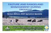 PASTURE AND RANGELAND MANAGEMENT DURING DROUGHT€¦ · animals to find forages and water – Allows better management of sick or weak animals • Can increase spread of parasites
