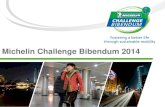 Michelin Challenge Bibendum 2014 - IRU · CHALLENGE BIBENDUM, GENERAL PRESENTATION WORKING GROUPS PRODUCING A GREEN BOOK TO BE PRESENTED AND DEBATED AT CHENGDU 2014 GLOBAL SUMMIT