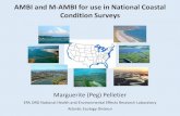 AMBI and M-AMBI for use in National Coastal Condition Surveys and mAMBI - Pelletier.pdf · • AMBI is an abundance-weighted tolerance index analogous to the Hilsenhoff Index (conceptually)