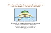 MMaarriinnee TTuurrttllee TTrraauummaa ......Procedures : A Field Guide. Wider Caribbean Sea Turtle Conservation Network (WIDECAST) Technical Report No. 4. Beaufort, North Carolina