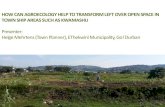 HOW CAN AGROECOLOGY HELP TO TRANSFORM LEFT OVER … 3/Session 1.3... · 2017. 6. 1. · HOW CAN AGROECOLOGY HELP TO TRANSFORM LEFT OVER OPEN SPACE IN TOWN SHIP AREAS SUCH AS KWAMASHU