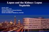 Lupus and the Kidney: Lupus Nephritis ... Kidney Involvement in Lupus Lupus is an autoimmune disease