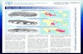 Expert Panel Summary Proposal : 45 - Black teatfish ... · Black teatfish, Holothuria whitmaei & Holothuria nobilis White teatfish, Holothuria fuscogilva Does Not Meet CITES Listing