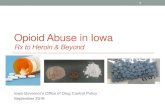Opioid Abuse in Iowa · U.S. Opioid OD Death Rates: 2002-2014 2 NLC-CDC, 2014 2002 2014