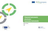 Financial instruments structures: Guarantee instruments · Financial instruments structures: Guarantee instruments Created Date: 5/29/2018 11:39:21 AM ...