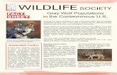 Gray Wolf Populations in the Conterminous U.S. · 5 U.S. Fish and Wildlife Service. 2016. Gray Wold (Canis lupus): Current population in the United States. U.S. Fish and Wildlife
